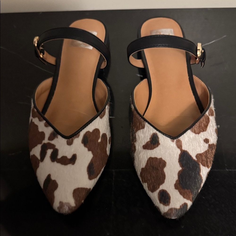 Dolce Vita Brown and White Cow Print Flats with Black Straps